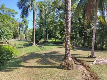 VENTA ISLA EXCLUSIVA EN BOCAS DEL TORO 10 HECTAREAS PROYECTO TURISTICO