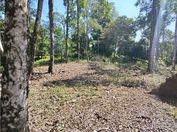VENTA ISLA EXCLUSIVA EN BOCAS DEL TORO 10 HECTAREAS PROYECTO TURISTICO