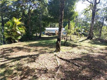 VENTA ISLA EXCLUSIVA EN BOCAS DEL TORO 10 HECTAREAS PROYECTO TURISTICO