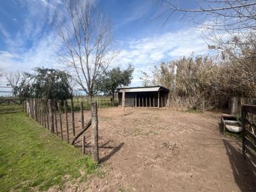 VENTA CHACRA 800MCUB QUINTA GRAL RODRIGUEZ PERMUTA