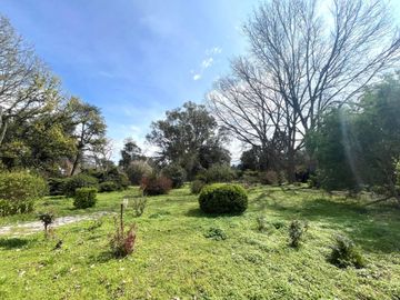 VENTA CHACRA 800MCUB QUINTA GRAL RODRIGUEZ PERMUTA