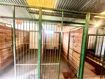 VENTA CHACRA 800MCUB QUINTA GRAL RODRIGUEZ PERMUTA