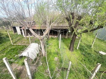 VENTA CHACRA 800MCUB QUINTA GRAL RODRIGUEZ PERMUTA