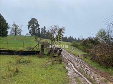 90 HEC DE CAMPO SECTOR SANTA ELISA A ORILLA DE CARRETERA