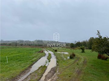 90 HEC DE CAMPO SECTOR SANTA ELISA A ORILLA DE CARRETERA