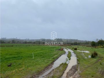 90 HEC DE CAMPO SECTOR SANTA ELISA A ORILLA DE CARRETERA
