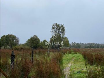 90 HEC DE CAMPO SECTOR SANTA ELISA A ORILLA DE CARRETERA
