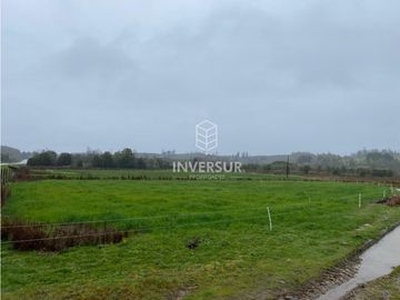 90 HEC DE CAMPO SECTOR SANTA ELISA A ORILLA DE CARRETERA