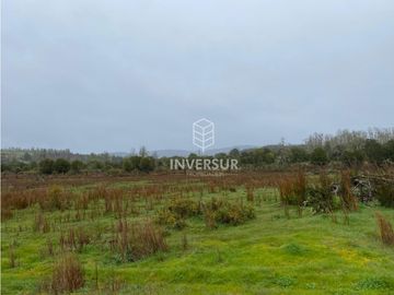90 HEC DE CAMPO SECTOR SANTA ELISA A ORILLA DE CARRETERA