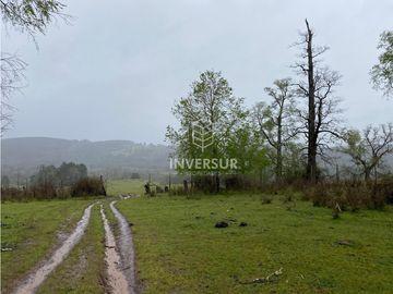 90 HEC DE CAMPO SECTOR SANTA ELISA A ORILLA DE CARRETERA