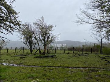 90 HEC DE CAMPO SECTOR SANTA ELISA A ORILLA DE CARRETERA