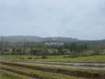 90 HEC DE CAMPO SECTOR SANTA ELISA A ORILLA DE CARRETERA