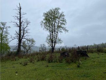 90 HEC DE CAMPO SECTOR SANTA ELISA A ORILLA DE CARRETERA
