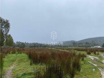 90 HEC DE CAMPO SECTOR SANTA ELISA A ORILLA DE CARRETERA