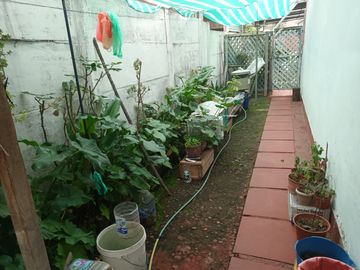 VENDO CASA, COMUNA DE MACUL (IRAN)