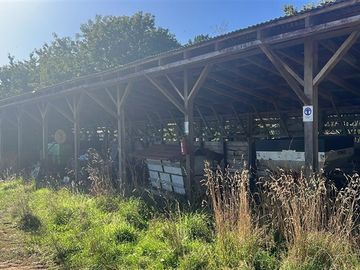 Agrícola en Venta en Camino Crucero Purranque a Hueyusca