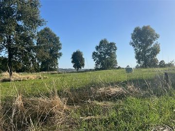 Agrícola en Venta en Camino Crucero Purranque a Hueyusca