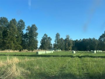 Agrícola en Venta en Camino Crucero Purranque a Hueyusca