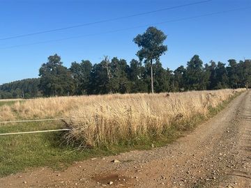 Agrícola en Venta en Camino Crucero Purranque a Hueyusca