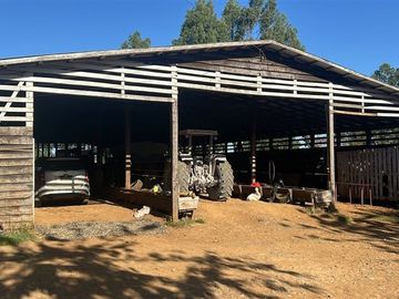 Agrícola en Venta en Camino Crucero Purranque a Hueyusca