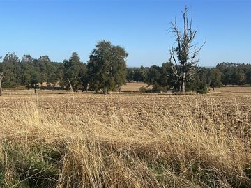 Agrícola en Venta en Camino Crucero Purranque a Hueyusca