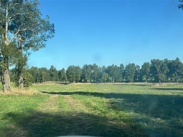 Agrícola en Venta en Camino Crucero Purranque a Hueyusca