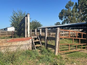 Agrícola en Venta en Camino Crucero Purranque a Hueyusca