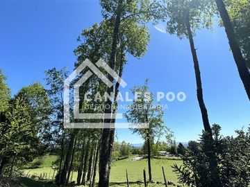 Campo Hermoso camino Panguipulli Los Lagos