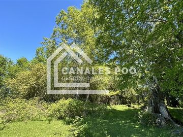 Campo Hermoso camino Panguipulli Los Lagos
