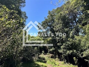 Campo Hermoso camino Panguipulli Los Lagos