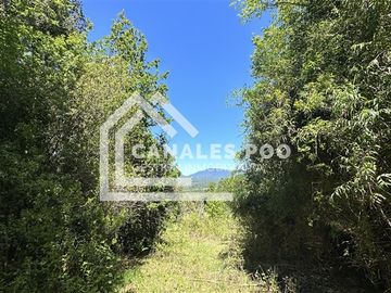 Campo Hermoso camino Panguipulli Los Lagos