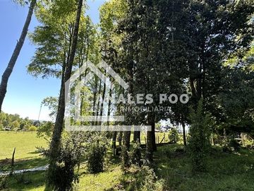 Campo Hermoso camino Panguipulli Los Lagos