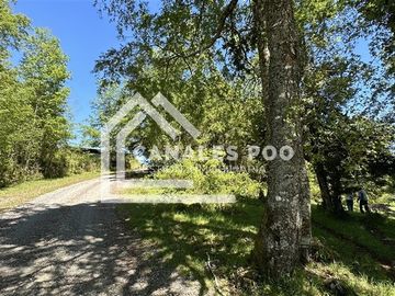 Campo Hermoso camino Panguipulli Los Lagos