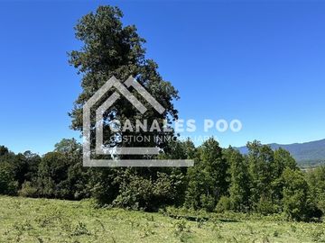 Campo Hermoso camino Panguipulli Los Lagos