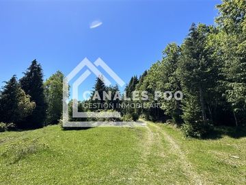 Campo Hermoso camino Panguipulli Los Lagos