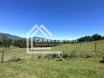 Campo Hermoso camino Panguipulli Los Lagos