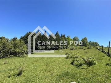 Campo Hermoso camino Panguipulli Los Lagos