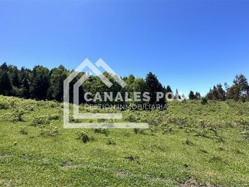 Campo Hermoso camino Panguipulli Los Lagos