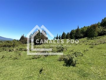 Campo Hermoso camino Panguipulli Los Lagos