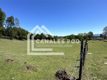 Campo Hermoso camino Panguipulli Los Lagos