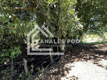 Campo Hermoso camino Panguipulli Los Lagos