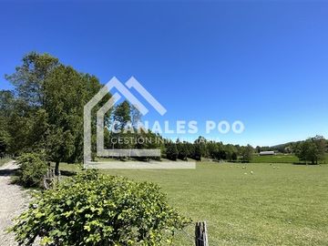 Campo Hermoso camino Panguipulli Los Lagos