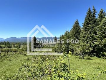 Campo Hermoso camino Panguipulli Los Lagos