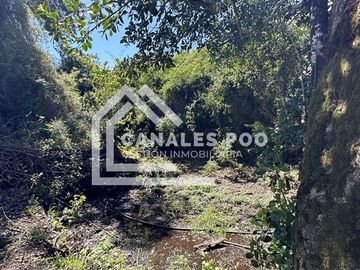 Campo Hermoso camino Panguipulli Los Lagos