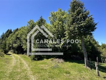 Campo Hermoso camino Panguipulli Los Lagos