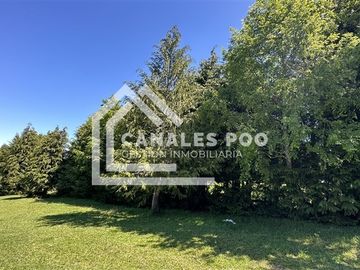 Campo Hermoso camino Panguipulli Los Lagos
