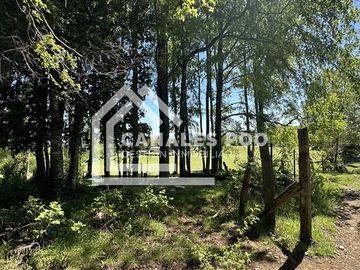Campo Hermoso camino Panguipulli Los Lagos