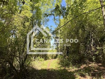 Campo Hermoso camino Panguipulli Los Lagos