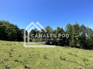 Campo Hermoso camino Panguipulli Los Lagos