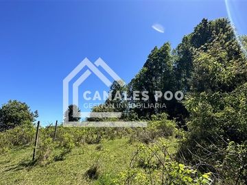 Campo Hermoso camino Panguipulli Los Lagos